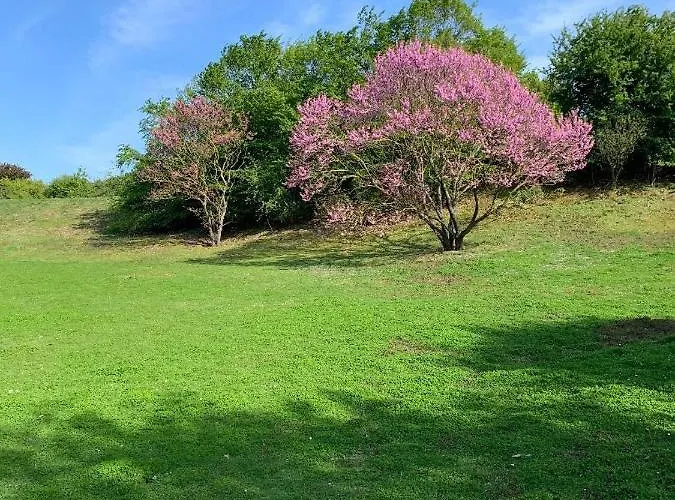 Mella * לה קורנב